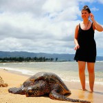 Honu（ホヌ）ハワイ語でウミガメ